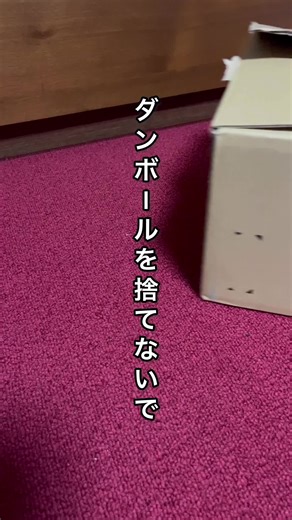 ダンボールを活用した防草シートの作り方！簡単な家庭菜園アイデア