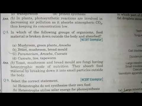 #Q8 #Pyq #Lifeprocesses