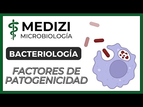Microbiology - Bacteriology - Pathogenicity factors