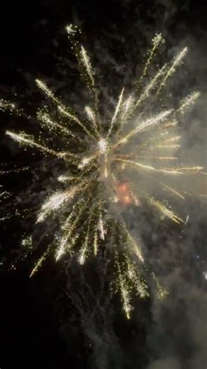 Welcome to Sky High Pyrotechnics & Fireworks — where we bring the BOOM to the sky!