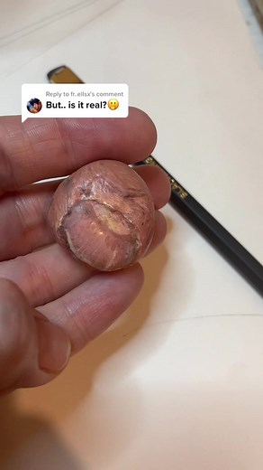 Painted Rock Toe Art Challenge Response