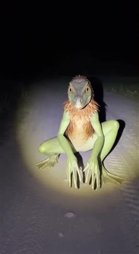 👽 Ultra-Realistic Monster Design! Creepy creature appears, the details are chilling 🎬✨#AIVideo