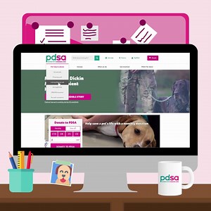 40 reactions | How knowledgeable are you of your pet's breed? ...