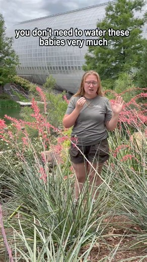 7K views · 80 reactions | ❤️ Looking for a low-maintenance gal?...