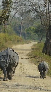 39K views · 1.6K reactions | Studies have shown that simply viewing...