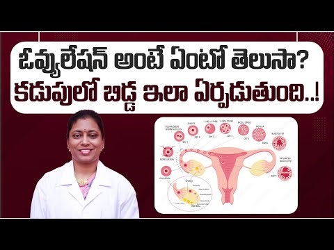 కడుపులో బిడ్డ ఎలా ఏర్పడుతుంది? | How Human Fertilization Works? in Telugu | Dr Neeraja Fertility