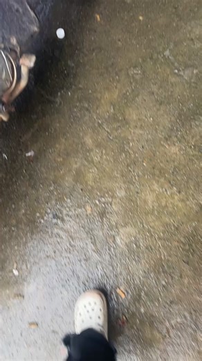 3.2K views · 53 reactions | Bích Hải on Reels | Facebook