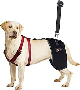 Dog Hip Support Brace for Hip dysplasia,Hip Pain, Dog Hip Brace Support for Luxating Pattela,Hip Brace for Dogs Warm Hip Joint and Relieve Pain,Dog Hip Dysplasia Brace(XXL)