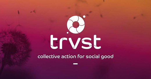 Environmental Impact of Plastic Straws - Why Are Straws Bad?