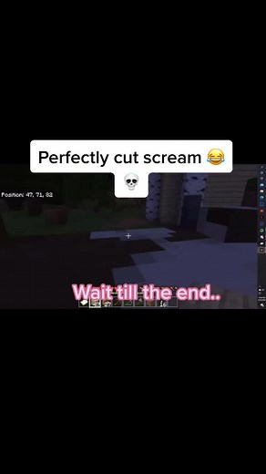 Someone add this to perfectly cut screams 😂🙏 (Minecraft) #fyp #tiktok #minecraft #perfectlycutscreams #funny