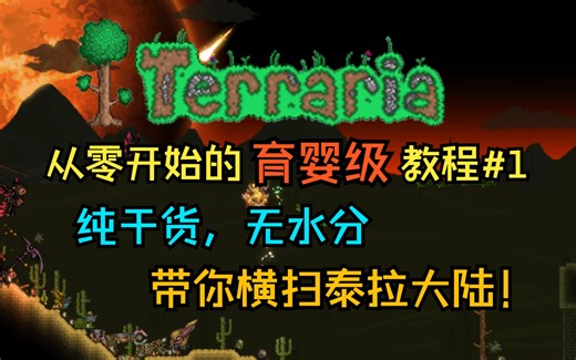 【泰拉瑞亚】从零开始的泰拉瑞亚”育婴级“教程#1，纯干货，带你横扫泰拉大陆！分享一些游戏的基础思路