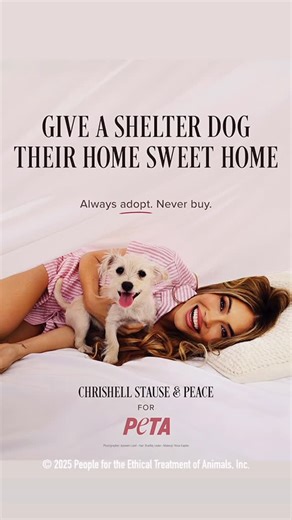 Chrishell on Instagram: "Got to shoot with my best friend and @PETA for this campaign! Dogs deserve all the love in the world. Treat them like the family they are: walk them, cuddle them, protect them, and adore them every day 🐶💗 Your best friend could be at the shelter right now🥹 What’s your dog’s favorite thing you do for them?"