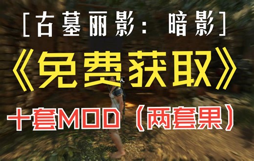 【古墓丽影：暗影】十套MOD合集（两套果）免费获取