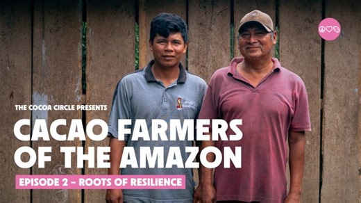 Roots of Resilience: Cocoa, Climate, and the Future of Farming | The Cocoa Circle