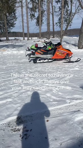 Jordan Plows on TikTok