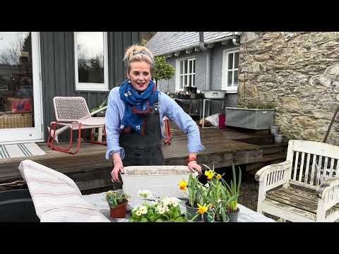 New adventures at 72! Swapping country life for seaside dreams.