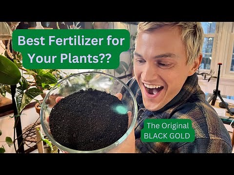 Great Organic Fertilizer - WORM CASTINGS - for all Plants