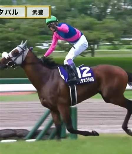 有馬記念2025の徹底ガイドと予想情報