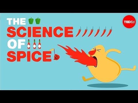 The science of spiciness