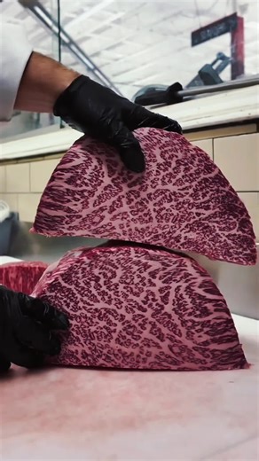 Exploring Sci-Fi Stories: Reddit's Best Writing Prompts