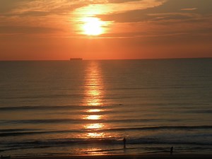 7 Ocean Songs for Kids