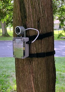 Building a Motion-Activated Camera for Wildlife Photography #AdafruitIO