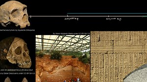 History and prehistory