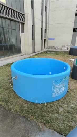 Make a Splash This Summer with the IPOOLGO Inflatable Swimming Pool. 🏊