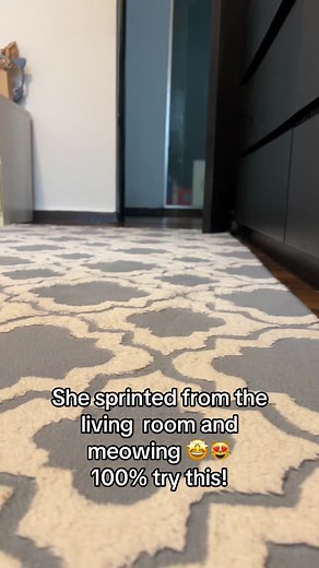 It seems this is a little kitty calling its mum kind of sound. #catcalling #catsounds #catcall ##cattok #sgfyp #fyp #capcut #catcall #fyp #creatorsearchinsights