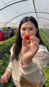 Baguio Strawberry farm 💋🍓❤️