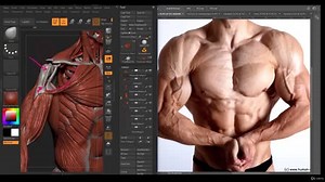 Udemy – Human Anatomy for Artists using Zbrush and Photoshop