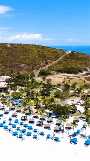 Boat charter in Puerto Rico for up to 6 guests with captain and crew included 🚤🌞 For groups larger than 6, we offer bareboat yacht rentals — bring your own licensed captain and sail to paradise 🌴 Explore Icacos, Palomino, Culebra or Vieques with Boating Puerto Rico 🌊🍾 #BoatingPuertoRico #BoatCharterPuertoRico #BareboatPuertoRico #YachtRentalPR #IslandAdventures #IcacosIsland #PalominoIsland #CulebraIsland #ViequesIsland #LuxuryCharter #PrivateBoatExperience #TropicalEscape #PuertoRicoYachts