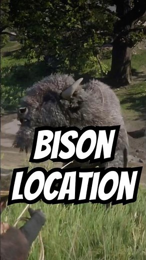 Bison location #rdr2