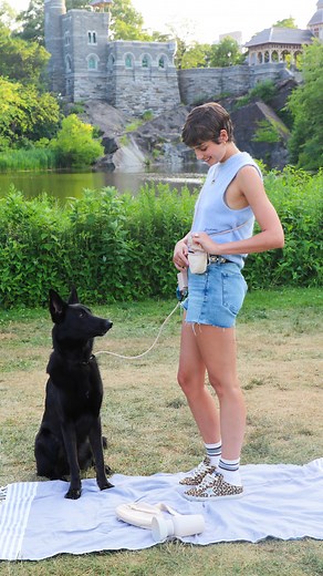 Taylor Hill | What’s in Taylor’s walking/training kit! The Bailey Sling Bag and Treat & Ball Pouch is available now in our TRAIN collection on... | Instagram