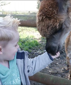 27 reactions · 19 shares | Enjoy a FULL YEAR of UNLIMITED FUN at Boston Park Farm with our family annual pass! ‍‍‍‍‍‍ Come visit our bouncing bunnies and cute calves whenever you like as much as you like!  Book today and save 20% OFF our Annual pass now ONLY £60 - USE CODE ' FAMILY20 '  | Boston Park Farm | Facebook