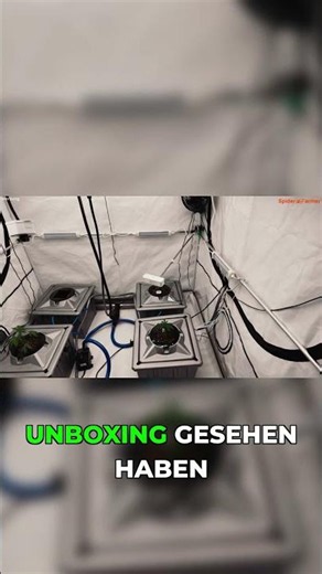 Neues Hydroponik System & Spider Farmer #rdwc #hydroponics #cannabiscommunity