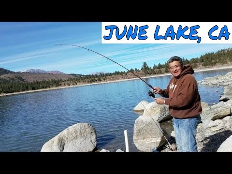 Trout Fishing June Lake CA