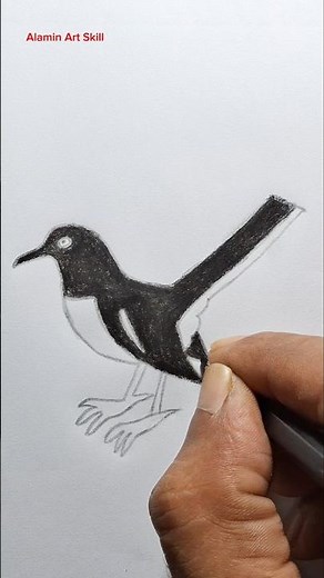 Easy Magpie drawing or Black colour sketch #drawing #magpie #foryou #sketch