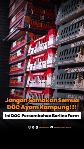 Persembahan Doc Terbaik Dari Berline Farm