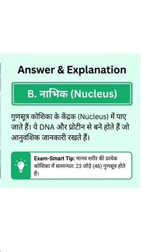 कक्षा 10 विज्ञान Top 10 Objective Questions | बोर्ड परीक्षा 2026 | MCQ