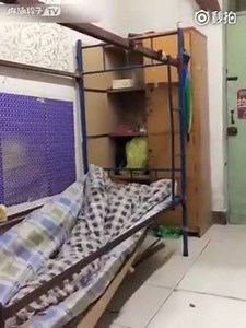 1.6M views · 10K reactions | These pranksters are always trying to one-up each other in this Chinese dormitory. | China Plus Culture | Facebook