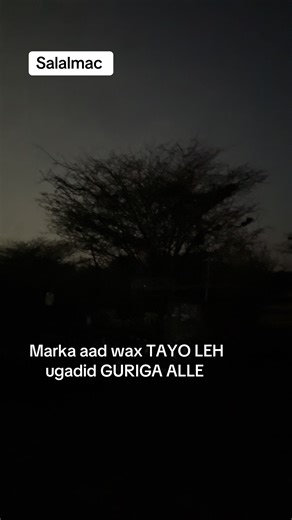 Idle Omar Husein (Colhaye) (@idle.0mar)’s videos with original sound - Idle Omar Husein (Colhaye)