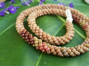 Kahelelani Shell Lei: Kauai Heirloom Necklace, Puka Clasp - Etsy