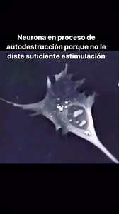 4.3K views · 93 reactions | El proceso de autodestrucción de una...