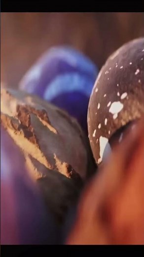 Wings of Fire Teaser Trailer!!