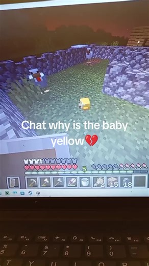 biggy (@biggy.the.man)’s videos with original sound - biggy