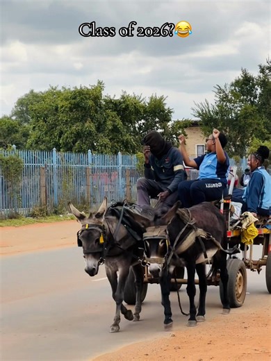 The Hilarious Journey of the Class of 2026