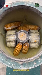 124K views · 180 reactions | Introducing the innovative corn powder...