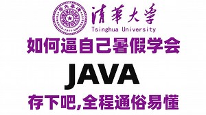 【JAVA全300集】目前B站最全最细的JAVA零基础全套教程，最新版，包含所有干货！七天就能从小白到大神！少走99%的弯路！存下吧！很难找全的！
