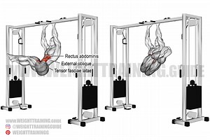 Hanging windshield wiper exercise instructions and video